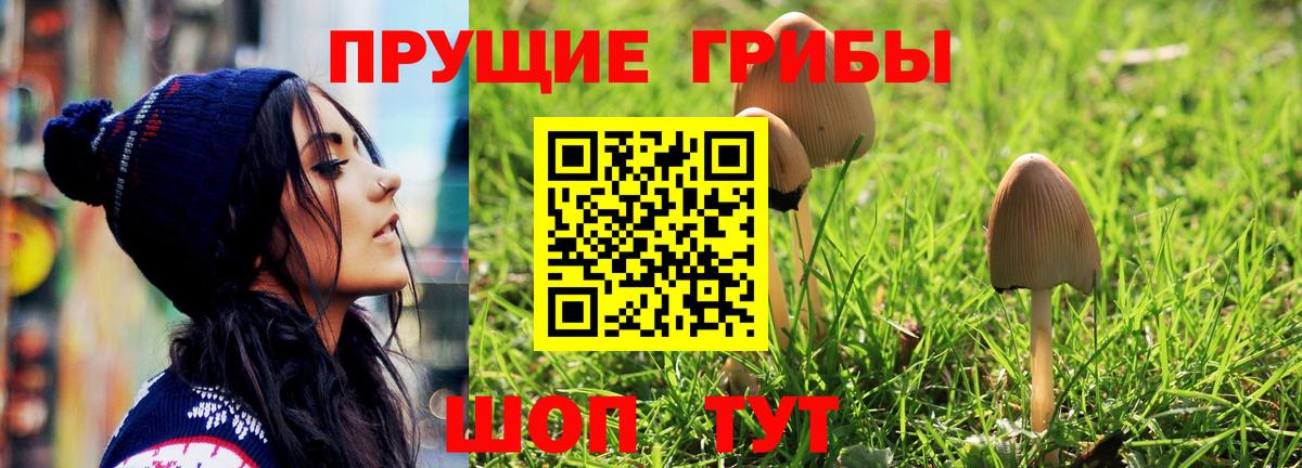 хочу   Галлюциногенные грибы прущие грибы  Вход с VPN  Псилоцибиновые грибы Magic Shrooms  Томск 